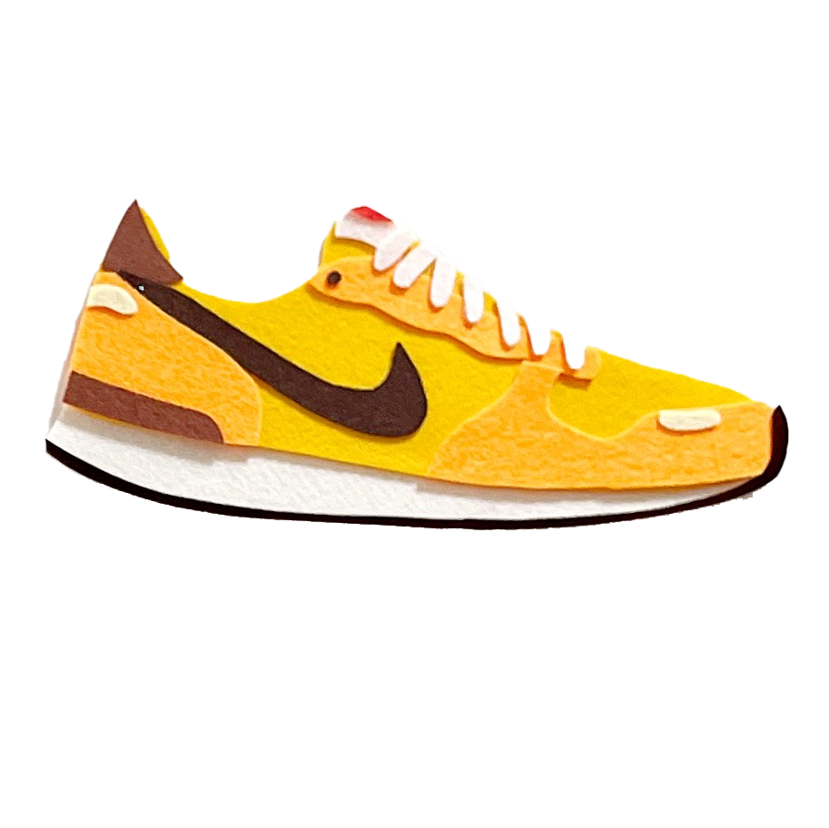 Custom Swoosh Shoe Art - Version 5